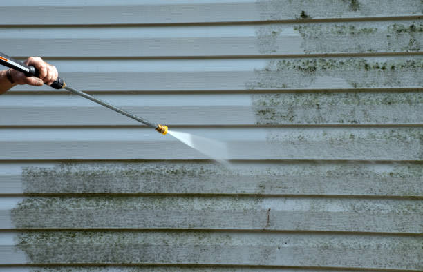 Best Roof Power Washing Services  in Holt, MI