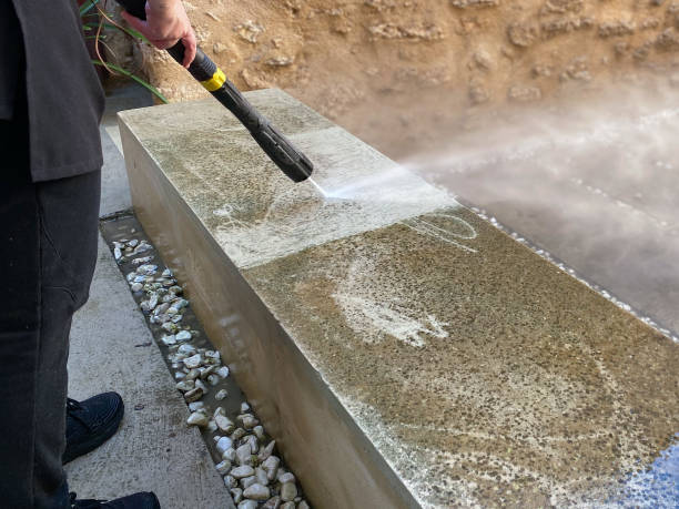 Best Commercial Building Pressure Washing  in Holt, MI