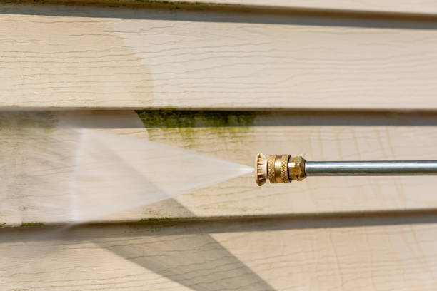 Best Power Washing Near Me  in Holt, MI