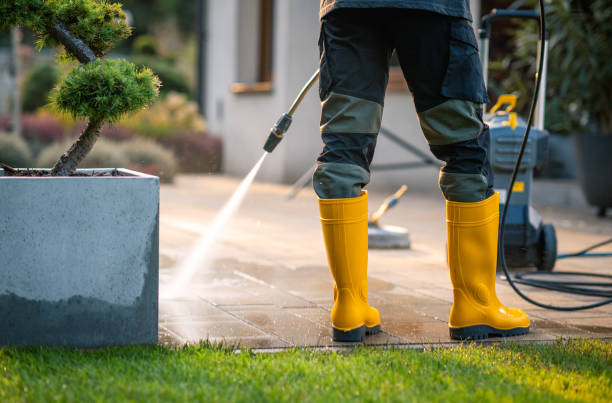 Best Affordable Pressure Washing  in Holt, MI